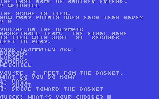 Screenshot for Basketball Action